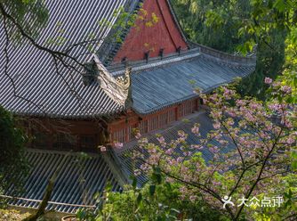 天台山国清寺！中国最美寺庙！