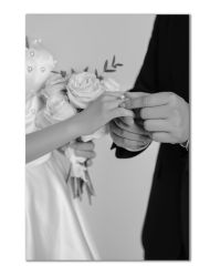 -金夫人婚纱摄影