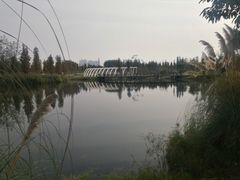 -眉山湿地公园(东坡区)
