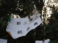 -人民公园-相亲角