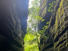 -梭布垭石林景区