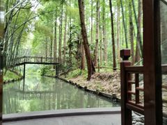 -同里国家湿地公园