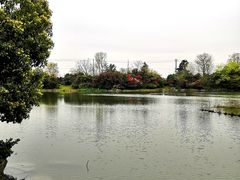 -桃花岛景观公园