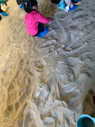 -恐龙探索乐园(磁器口店)