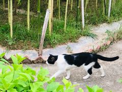 -晓港公园