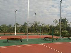 -飞来湖湿地公园