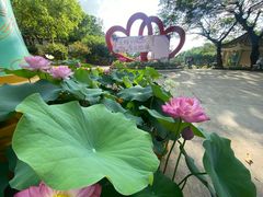 -广州莲花山旅游区