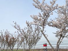 -苏州吴中太湖旅游区