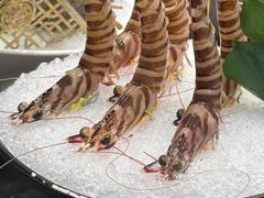-揽季锅物会.福建黄鱼.海鲜姿造(五四路店)