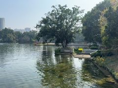 -荔湾湖公园