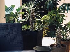 -CAFE'IN精品咖啡体验空间(小寨店)