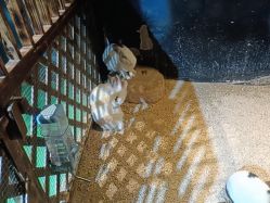 -酷嗒动物文化乐园(cutezoo西溪乐天城店)