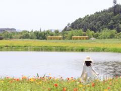-径山花海