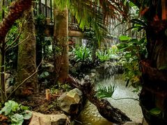 -正佳雨林生态植物园