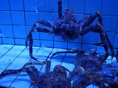 水产区-荣记火锅(青悦城店)