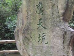 -重庆武隆天生三桥风景区-神鹰天坑