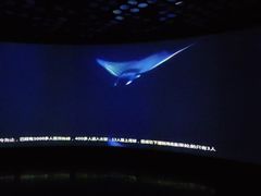 -同济大学四平路校区深海探索馆