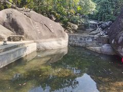 -梧桐山风景名胜区