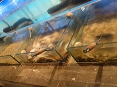 -尚宴牛特鲜自助(太原街万达店)