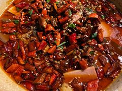 毛血旺-胡桃里乐队酒馆(农科路店)
