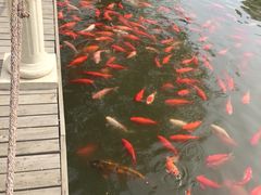 -月亮河温泉度假酒店