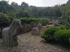 -雨花胜境
