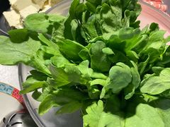 大叶茼蒿-半闲斋羊肉铺(齐礼阎店)