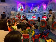 -帝企鹅自助餐厅•儿童岛•真企鹅(长隆企鹅酒店)