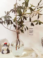 -美肤盾祛痘·问题肌头疗管理中心