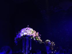 -格乐利雅婚礼艺术中心(浦东花木店)
