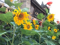 -天龙八部武侠城