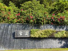 -云溪植物园