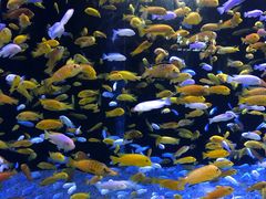 -成都浩海立方海洋公园