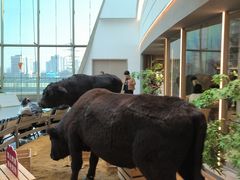 -左庭右院鲜牛肉火锅(京西大悦城店)
