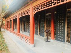 -碑林公园