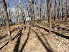 -香木香羊(小汤山店)