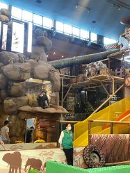 -卡通尼·Safari非洲探索乐园·生日会(金桥国际商业广场店)