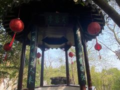 -上海醉白池公园