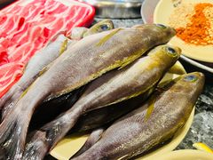 自己带来的鱼-蜀大侠火锅(春熙路店)