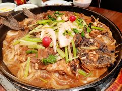 -老板恋上鱼(荣盛广场店)