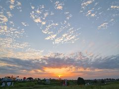 -空港花田景区
