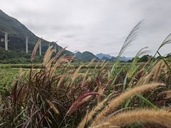 -清远鱼水旅游风景度假区