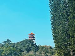 -深圳仙湖植物园
