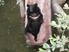 -长鹿旅游休博园