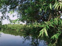 -长白岛森林公园