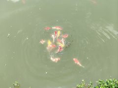 -溪悦渔庄(九龙湖店)