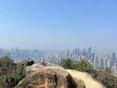 -南山植物园