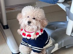 -心仪动物医院·牙专科·肿瘤·心脏科(西客站院)