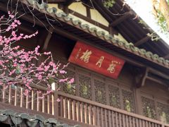 -杭州植物园