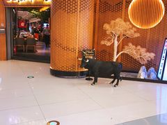 门面-黑牛の店·和牛烧肉(大悦城店)